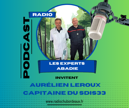 Les experts Abadie